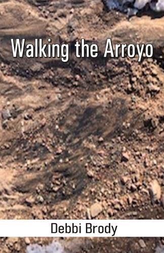 Cover image for Walking the Arroyo