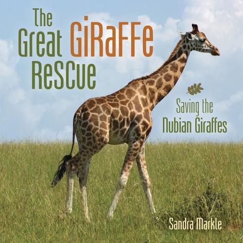 Cover image for The Great Giraffe Rescue: Saving the Nubian Giraffes