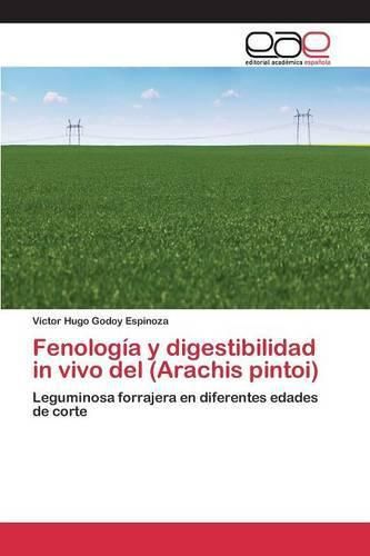 Cover image for Fenologia y digestibilidad in vivo del (Arachis pintoi)