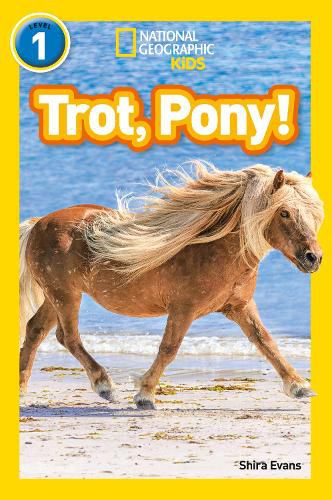 Cover image for Trot, Pony!: Level 1