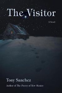 Cover image for The Visitor