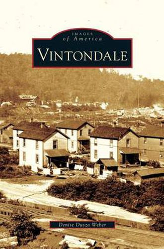 Cover image for Vintondale