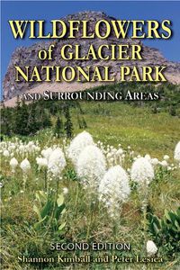 Cover image for Wildflowers of Glacier National Park: And Surrounding Areas