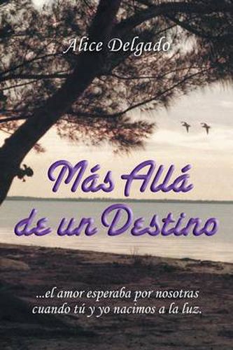 Cover image for Mas alla de un destino