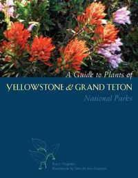 Cover image for A Guide to Plants of Yellowstone and Grand Teton National Parks