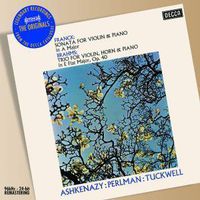 Cover image for Brahms Franck Chamber Music