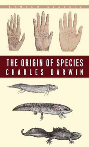 Cover image for The Origin of Species: By Means of Natural Selection or the Preservation of Favoured Races in the Struggle for Life