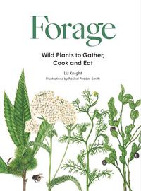 Cover image for Forage: Wild plants to gather and eat