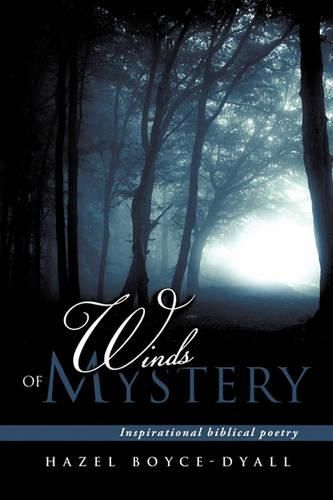 Cover image for Winds of Mystery