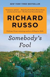 Cover image for Somebody's Fool