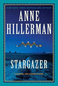 Cover image for Stargazer: A Novel