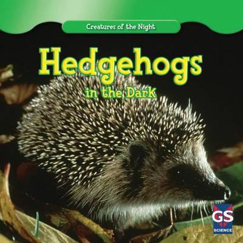 Cover image for Hedgehogs in the Dark