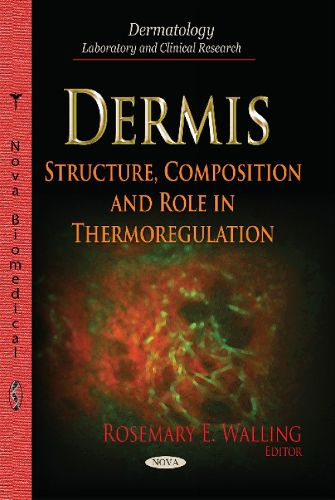 Dermis: Structure, Composition & Role in Thermoregulation