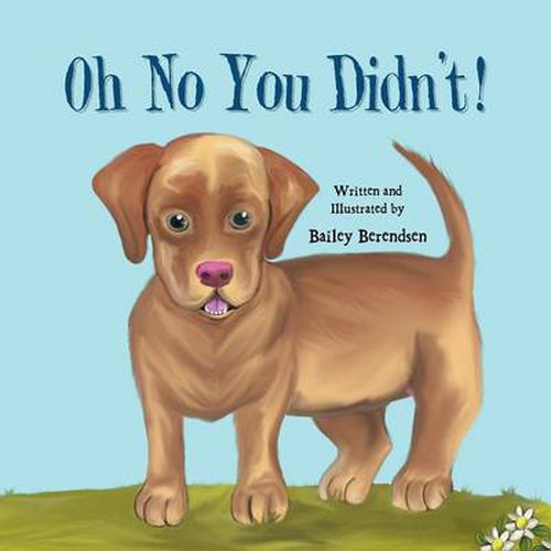 Cover image for Oh No You Didn't!