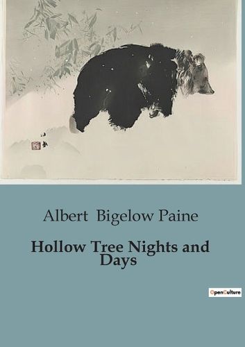 Cover image for Hollow Tree Nights and Days
