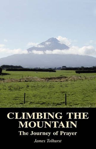 Cover image for Climbing the Mountain