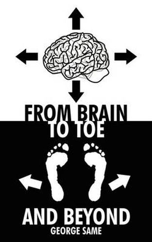 Cover image for From Brain to Toe and Beyond