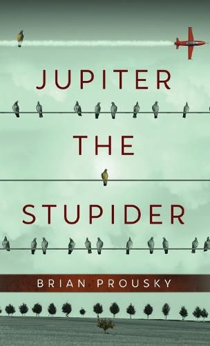 Cover image for Jupiter the Stupider