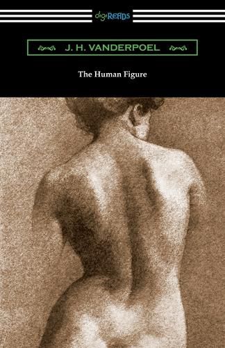 Cover image for The Human Figure