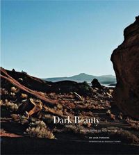 Cover image for Dark Beauty: Photographs of New Mexico