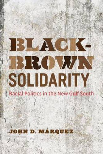 Cover image for Black-Brown Solidarity: Racial Politics in the New Gulf South