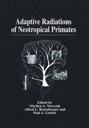 Cover image for Adaptive Radiations of Neotropical Primates