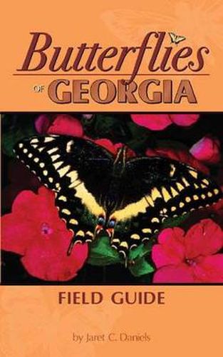 Cover image for Butterflies of Georgia Field Guide