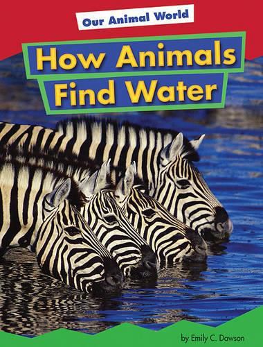 Cover image for How Animals Find Water