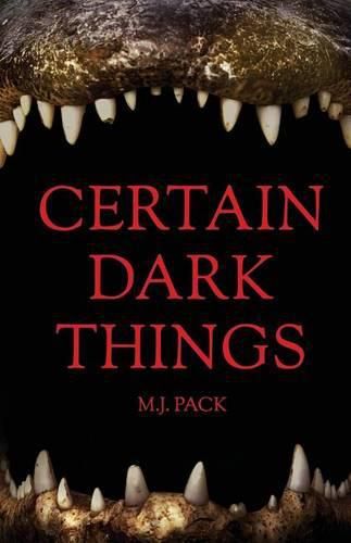 Cover image for Certain Dark Things: Stories