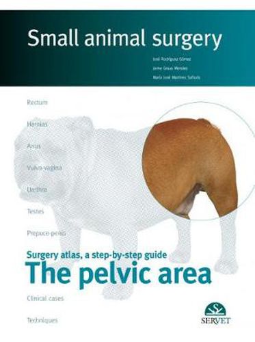 Cover image for The pelvicaArea. Small animal surgery
