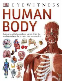 Cover image for Human Body