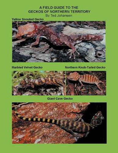 Cover image for A Field Guide to the Geckos of Northern Territory