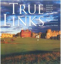 Cover image for True Links