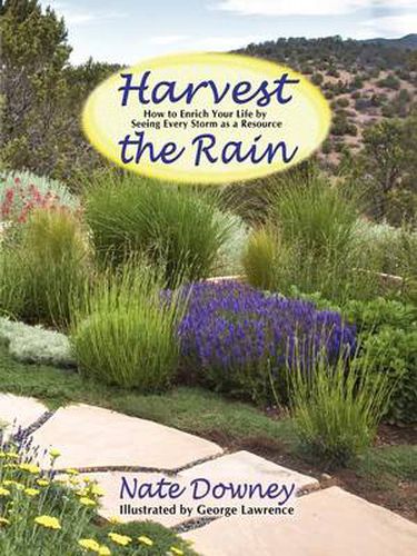 Cover image for Harvest the Rain