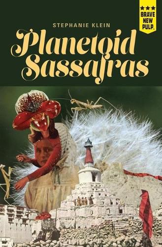 Cover image for Planetoid Sassafras