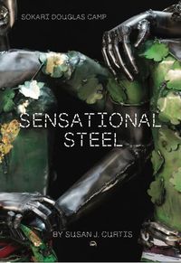 Cover image for Sokari Douglas Camp: Sensational Steel