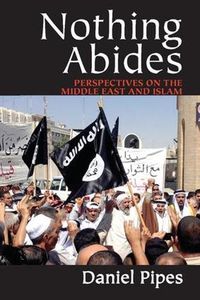 Cover image for Nothing Abides: Perspectives on the Middle East and Islam