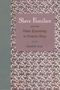 Cover image for Slave Families and the Hato Economy in Puerto Rico