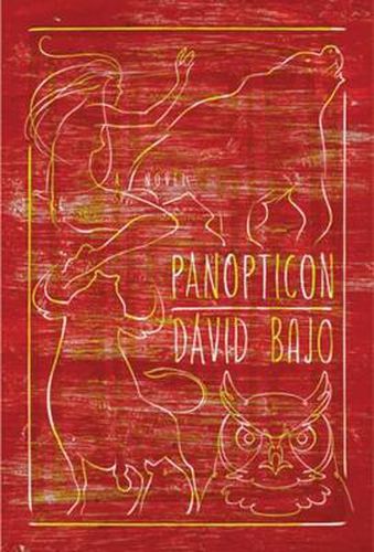 Cover image for Panopticon