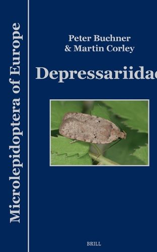 Cover image for Depressariidae