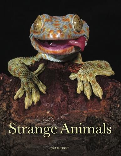 Cover image for Strange Animals