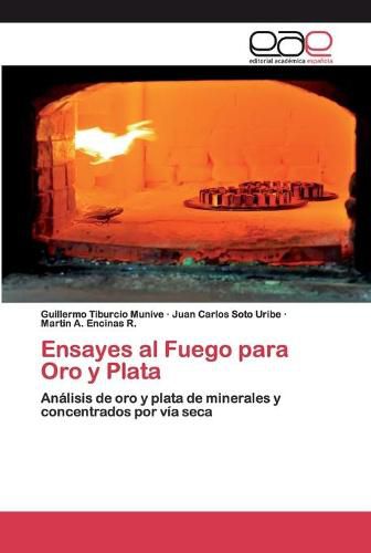 Cover image for Ensayes al Fuego para Oro y Plata