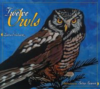 Cover image for Twelve Owls