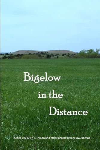 Cover image for Bigelow in the Distance