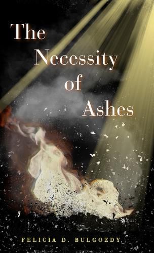 Cover image for The Necessity of Ashes