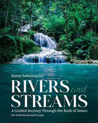 Cover image for Rivers and Streams