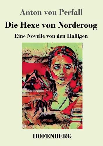 Cover image for Die Hexe von Norderoog: Eine Novelle von den Halligen