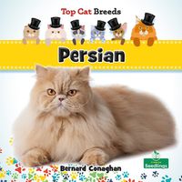 Cover image for Persian