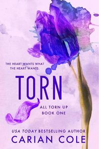 Cover image for Torn
