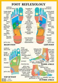 Cover image for Foot Reflexology -- A2